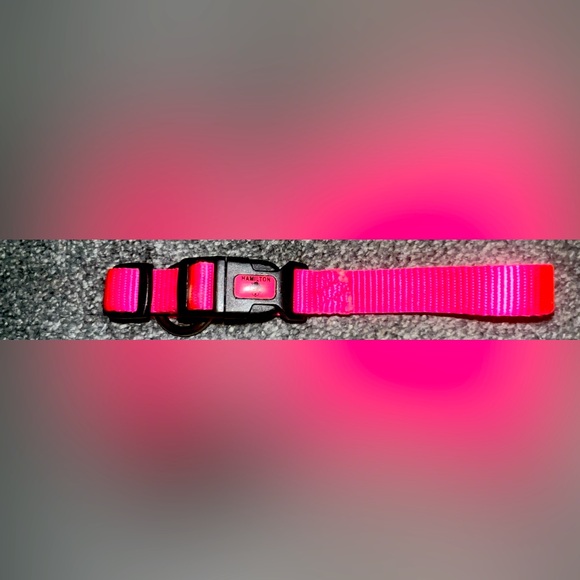 Other - 🎉HOST PICK 🎉 Hot Pink Dog Collar